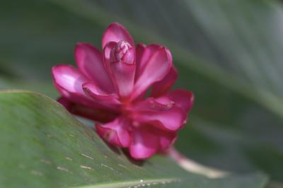 CRW_9070.jpg