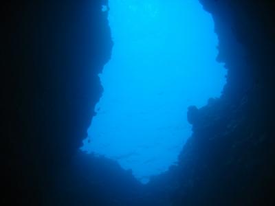 IMG_9138.jpg