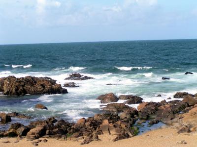 The rocky coast.