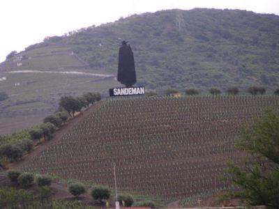 Sandeman port sign on hill