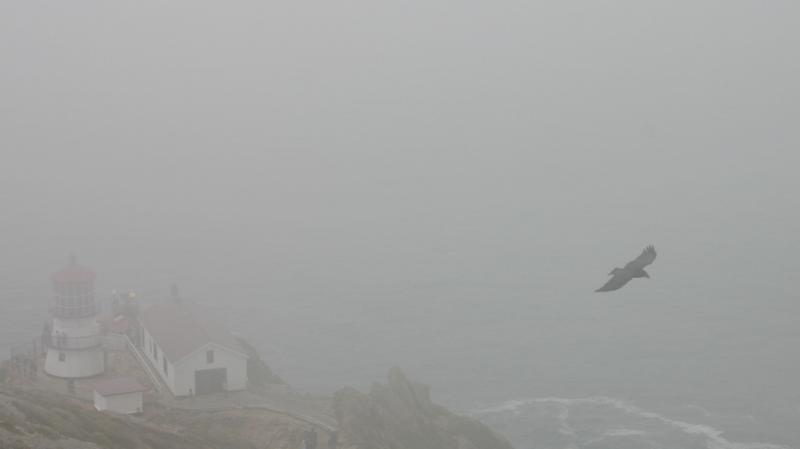 IMG_9140b.jpg