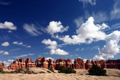 IMG_3535-edit.jpg