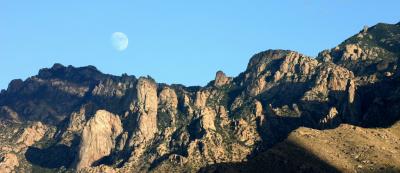 IMG_3754a.jpg