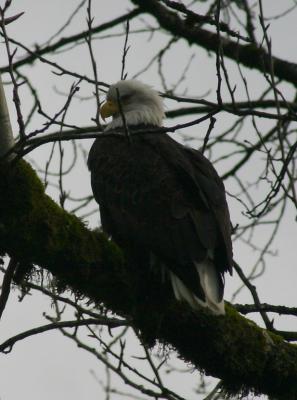 IMG_7730a.jpg