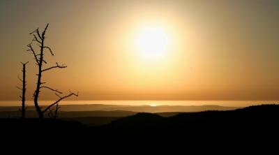 IMG_8914a.jpg