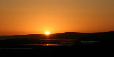 IMG_8921a.jpg