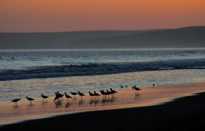 IMG_8936a.jpg