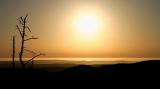IMG_8914a.jpg