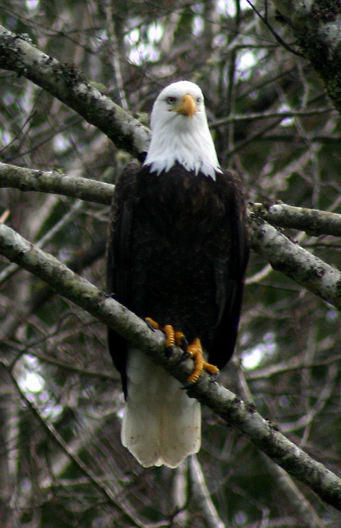 IMG_7727a.jpg