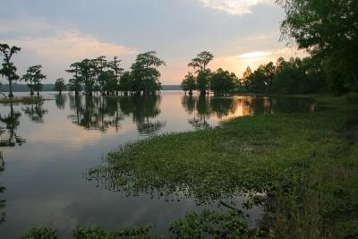 IMG_5912-web.jpg