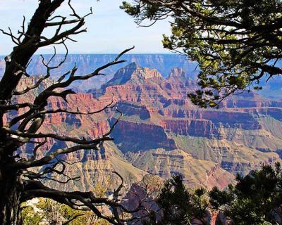 Grand Canyon II