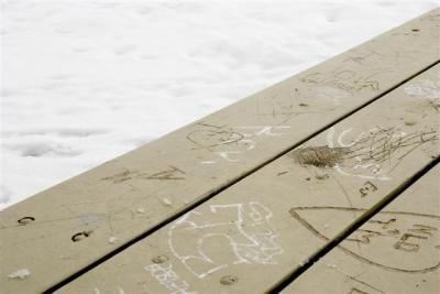 Carved Picnic Table