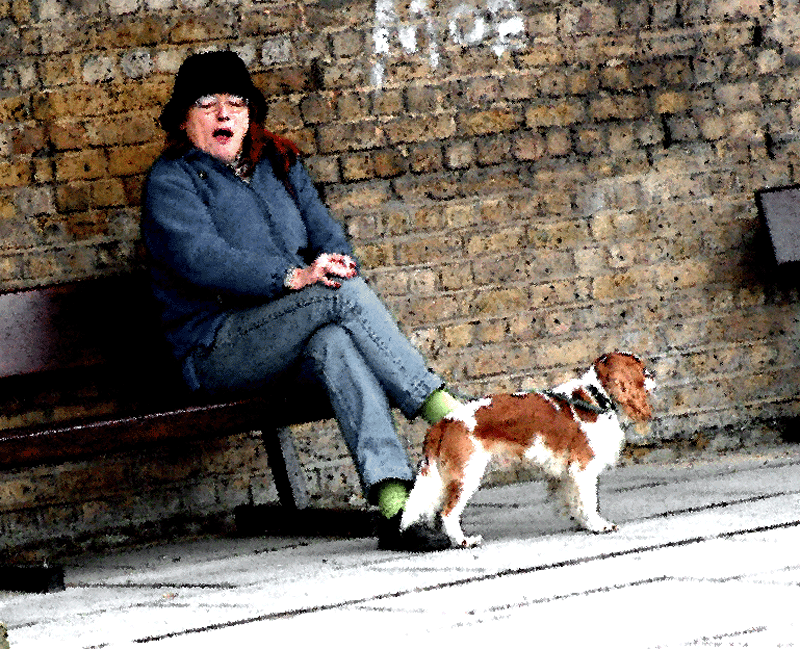 DOG ALLERGY