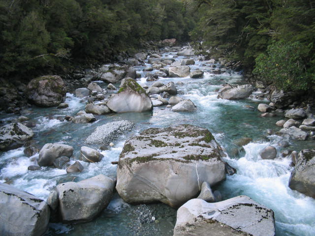 IMG_2568.JPG