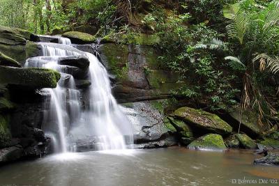 Khao Yai waterfall.jpg