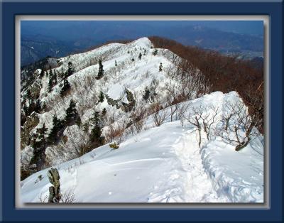 Snowy Ridge Trail