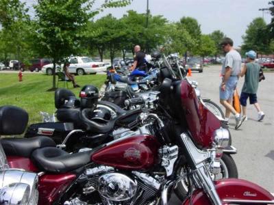 Bikes lined up