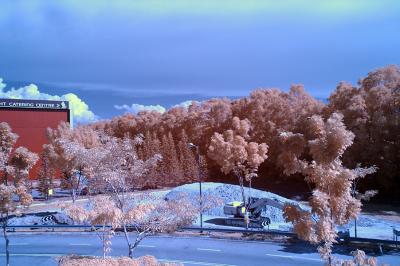 Tokina IR Test 24mm.jpg