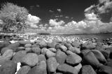 Punggol Rocky Beach (IR B & W)