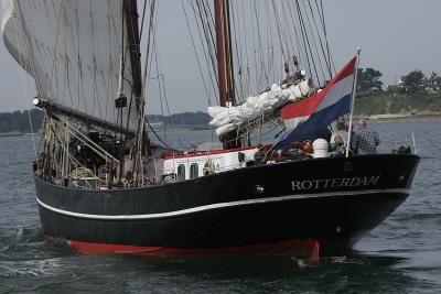 Iris de Rotterdam