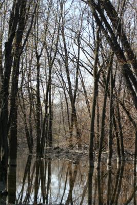 IMG_3513www.jpg