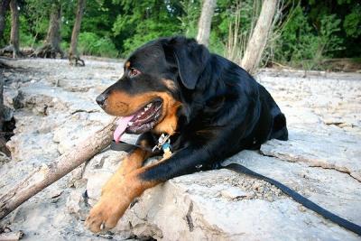 Rufus falls of ohio