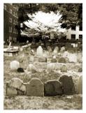 Granary Cemetery in Spring
