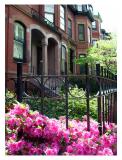 Back Bay