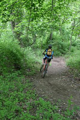 IMG_5633.jpg