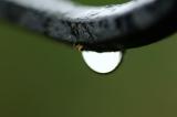 _DSC2374_SpiderDrop.jpg