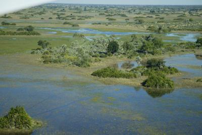 u26/deseml/medium/19660347.OkavangaDelta2.jpg