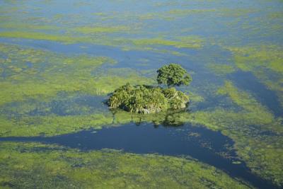 u26/deseml/medium/19660348.OkavangaDeltaandsmallisland.jpg