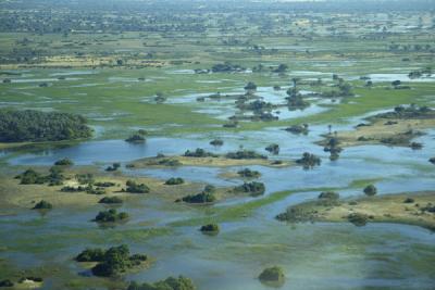u26/deseml/medium/19660349.OkavangaDelta.jpg