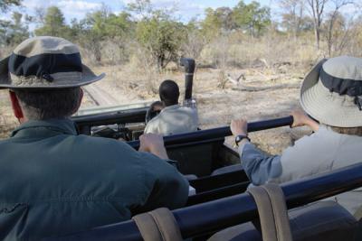 White knuckles as we race to a sighting of wild dogs