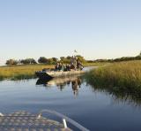 Boat ride in the Okavango Delta