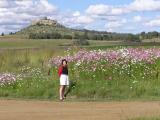 Sue and the field of Cosmos flowers  South Africa