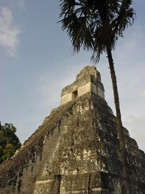 Mayan Temple   Tikal