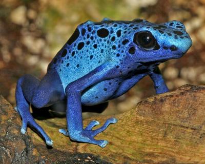 Feeling a little Jumpy and blue