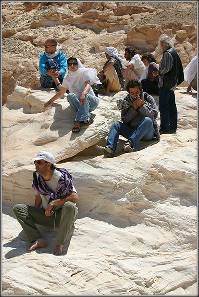 We - desert guests