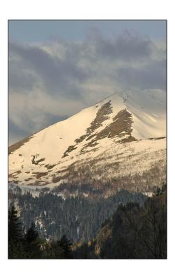 u26/dimenty/medium/43383783.DSC_2682.jpg
