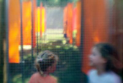 Cheekwood Mazes