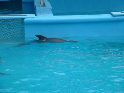 2004_0719Image0351.JPG