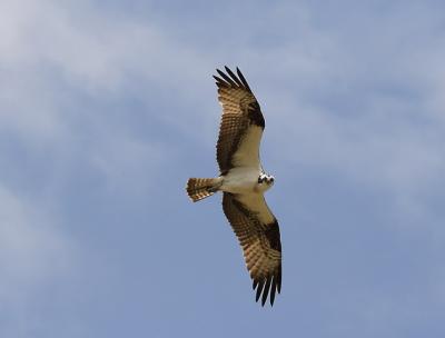 DPP_0045_resize.jpg