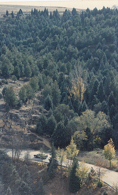 sego28.JPG