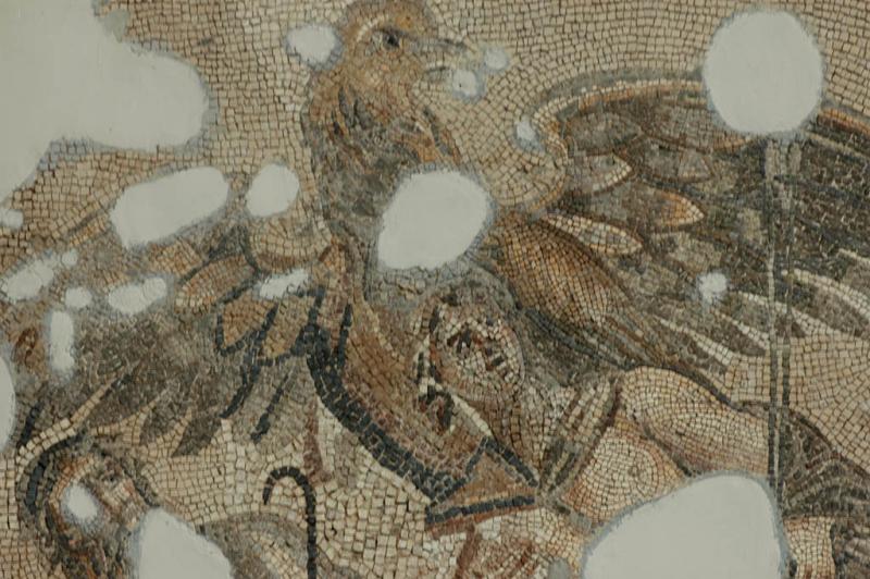 Antakya Museum 7497