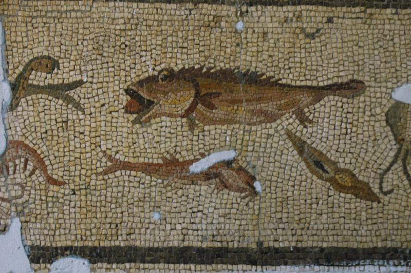 Antakya Museum Fish mosaic 7572