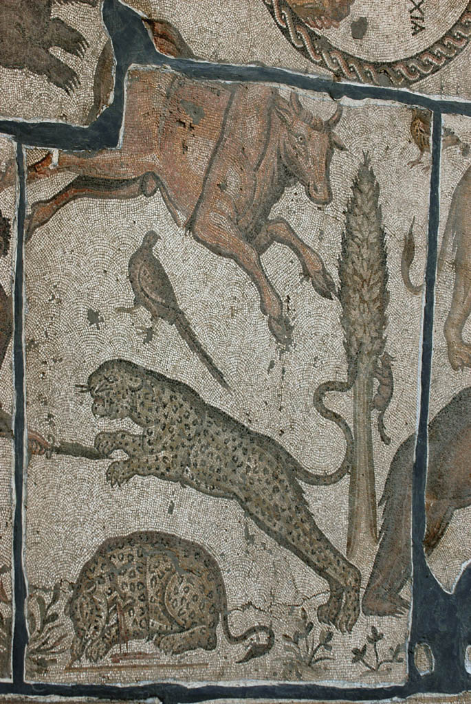Antakya Museum 7515