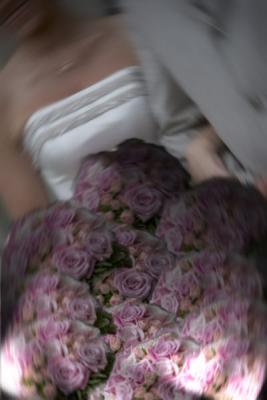 sheldons-altered.jpg