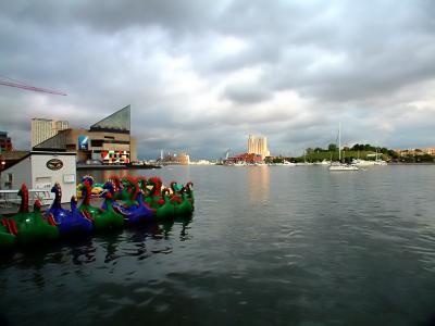 Apparition in Inner Harbor