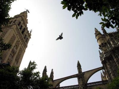 Spain0102_2005.jpg
